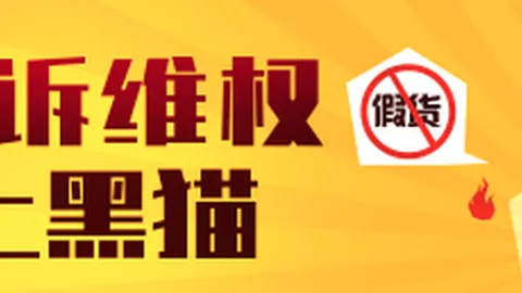 费尔南德斯退役揭晓：国家队辉煌生涯回顾